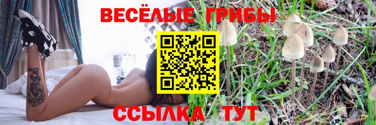 что такое   Псилоцибиновые грибы Cubensis  Астрахань  Вход с VPN  Псилоцибиновые грибы GOLDEN TEACHER 
